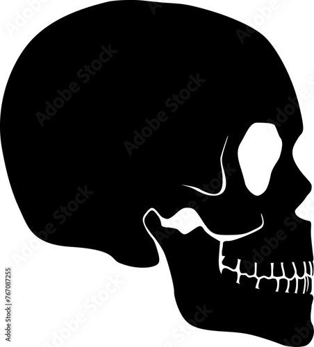 Vektor Silhouette menschlicher Schädel Knochen - Totenkopf Design Element Seite