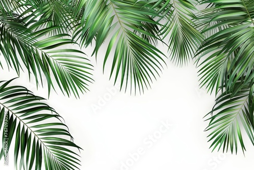 Lush Palm Leaves on White Background, Tropical Foliage Cut Out, 3D Rendering