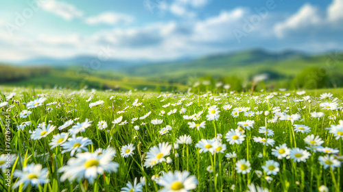 Beautiful spring and summer natural panoramic pastoral landscape 