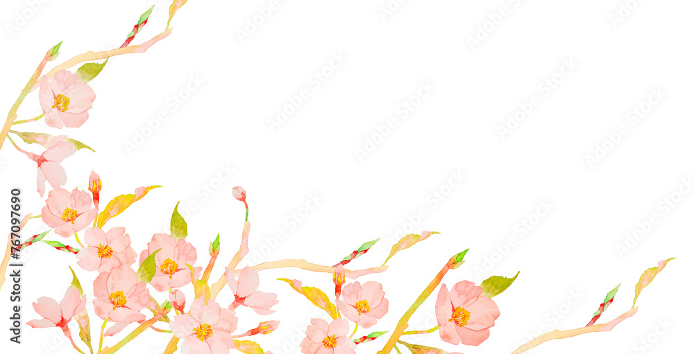 桜の花の水彩フレームイラスト
