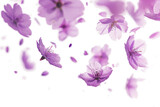 Blurry Flowers in Motion on Transparent