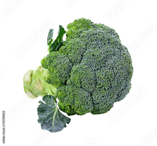 Fresh broccoli transparent png