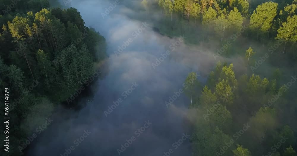 Foggy river with trees seen from above, surrounded by mist and clouds Foggy river with trees seen from above, surrounded by mist and clouds