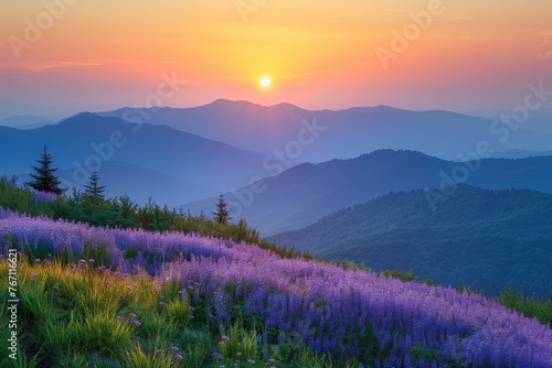A Breathtaking Sunset Over Mountains Adorned with Vibrant Blooms.