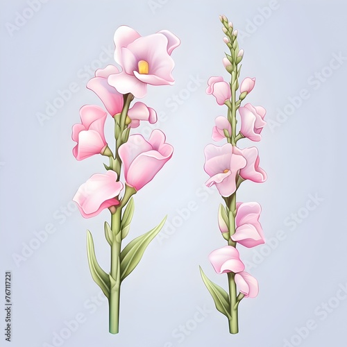 D Cartoon Snapdragon in Pastel Watercolor Tone Isolated on Background