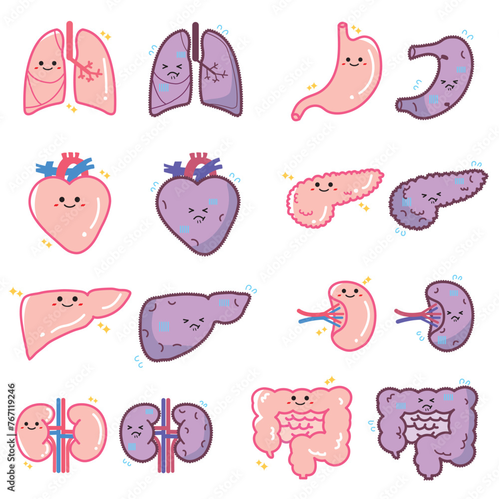 Fototapeta premium ヒトの臓器キャラクター