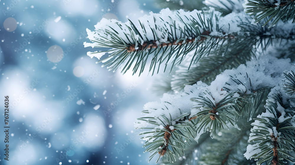 Frost snow backgrounds landscape  Winter season with snow caps covered branches of pine tree in Christmas festival, snowflake and bokeh glitter light background 