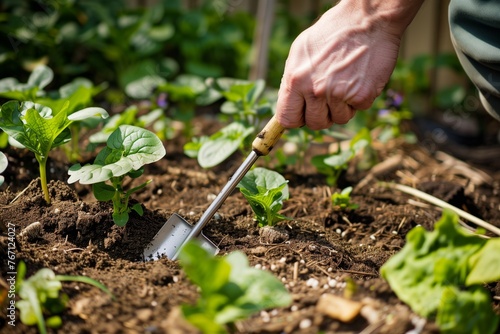 gardener mulching around plants, trowel in hand photo