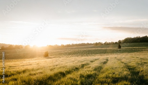 green field on white background