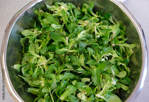 frischer Feldsalat in einer Schüssel