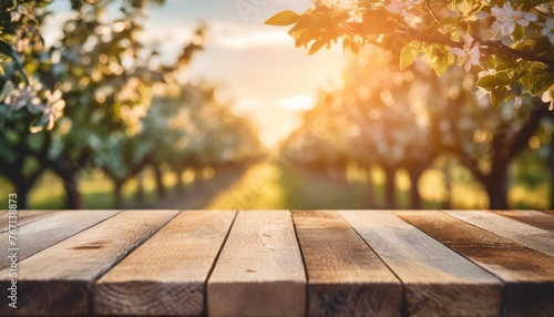 empty wooden table top texture board on a blurred background of an orchard trees in blurred bokeh