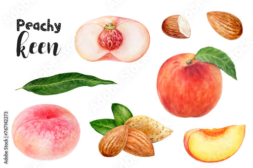 Watercolor illustration of peach fruits and almond set close up. Design template for packaging, menu, postcards. © cosmicanna