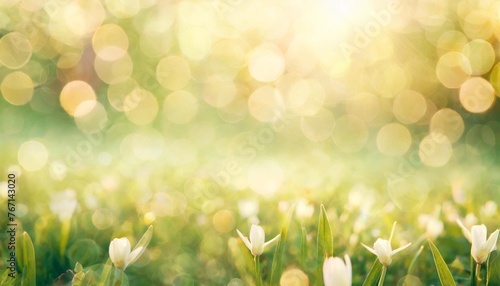spring background abstract banner green blurred bokeh lights