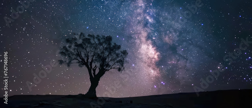 Solitary tree under a star illuminated sky