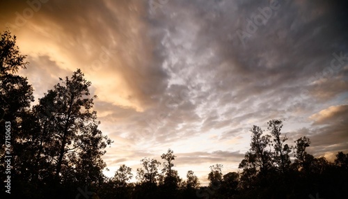 night sky background with dark clouds and trees