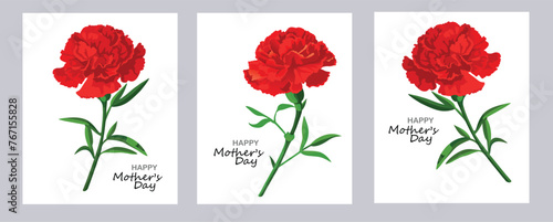 Happy Mother s Day vector greeting cards set. Carnation flower 