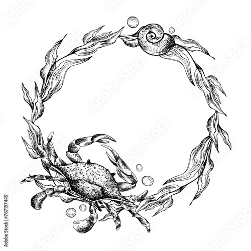 Underwater world clipart with sea animals crab, starfish and algae. Graphic illustration hand drawn in black ink. Circle wreath, frame EPS vector. © NATASHA-CHU