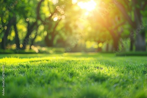 Beautiful blurred background image of spring nature with a neatly trimmed lawn.