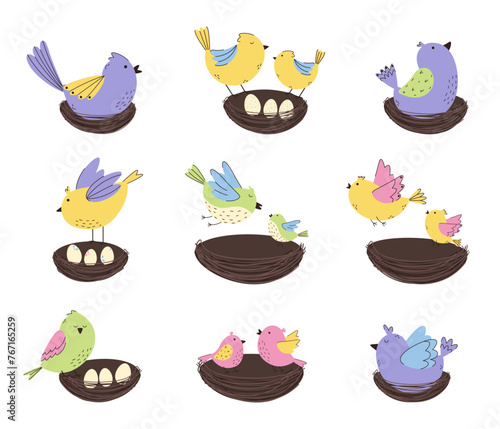 Collection of colorful birds with nests. Spring birds and little chicks.  Easter decorative elements.
