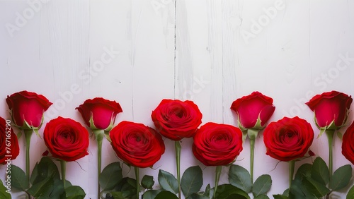 Few red roses border a beautiful white background elegantly