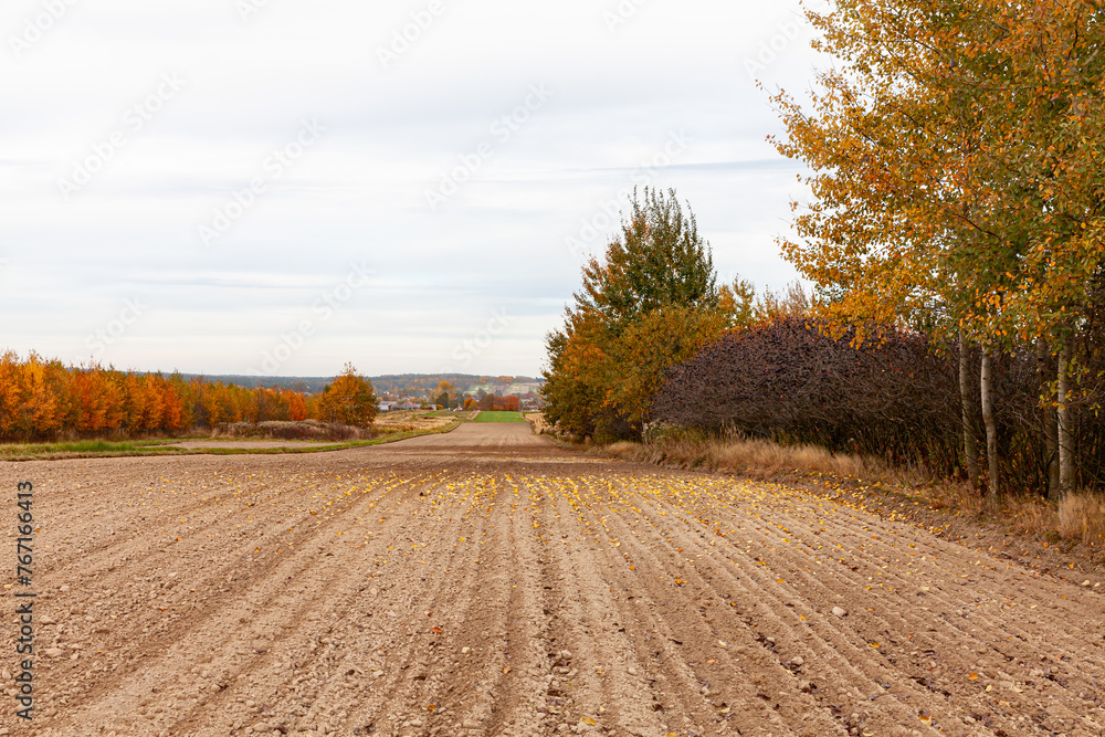 Naklejka premium Beautiful autumn landscape in the countryside.