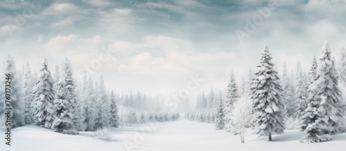 A frosty woodland with snowcovered branches and icy trees under a cloudy sky, creating a serene natural landscape with a freezing atmosphere © AkuAku