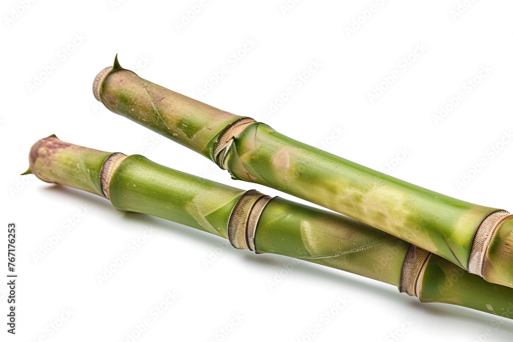 Fototapeta premium bamboo isolated on white background