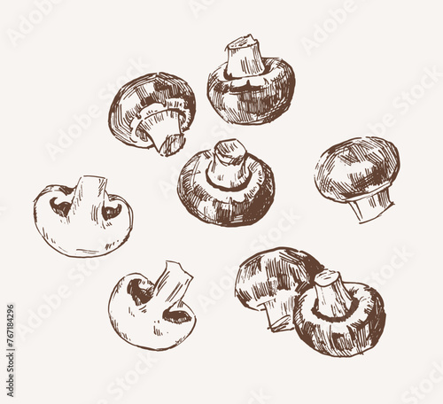 Set of whole and sliced champignon mushrooms, hand drawn illustration