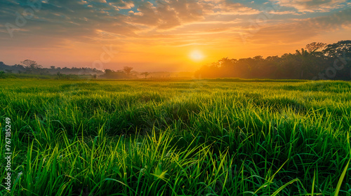 The sun is low on the horizon  casting a warm glow over a vast grassy field  as it slowly sets in the background.