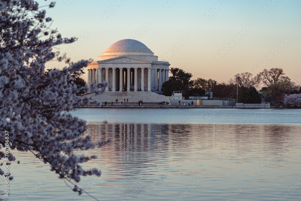 Obraz premium Thomas Jefferson memorial in Washington DC at sunrise with cherry blossoms