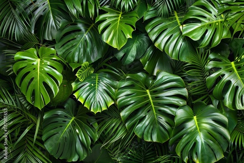 A close-up of vibrant green tropical leaves