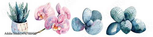 Watercolor style floral elements 