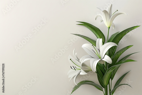 a beautiful flower bouquet of lilies on a light background in a minimalistic style with a place for text