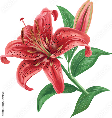 Vector Blossom Lilly Bonanza Elegant Flower Designs