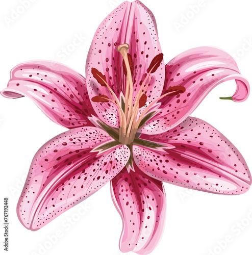 Vector Blossom Lilly Bonanza Elegant Flower Designs