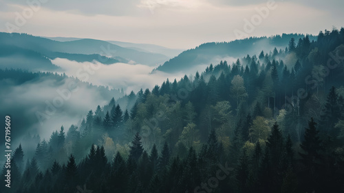 Layered hills with evergreen forests under a misty sky at dawn