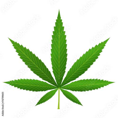 Green cannabis leaf on white isolated background, realistic vector icon, medical marijuana