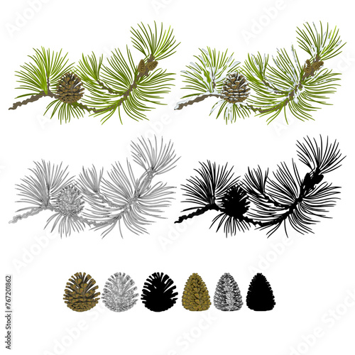 Pine branch with snow and pine cones and  as vintage engraving and silhouette set two vector illustration editable hand drawn