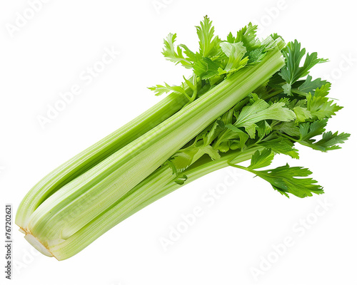 Fresh celery isolated on white background. Close-up Shot. 