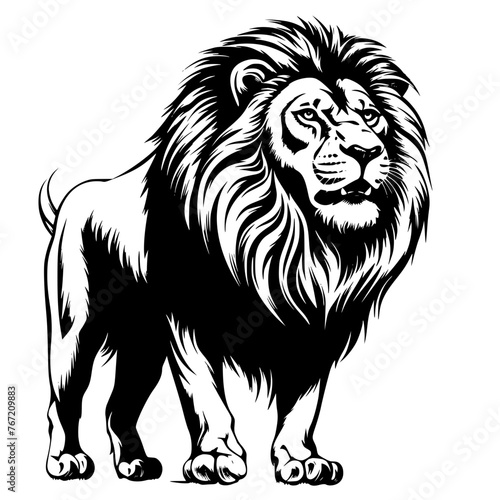 illustration of lion