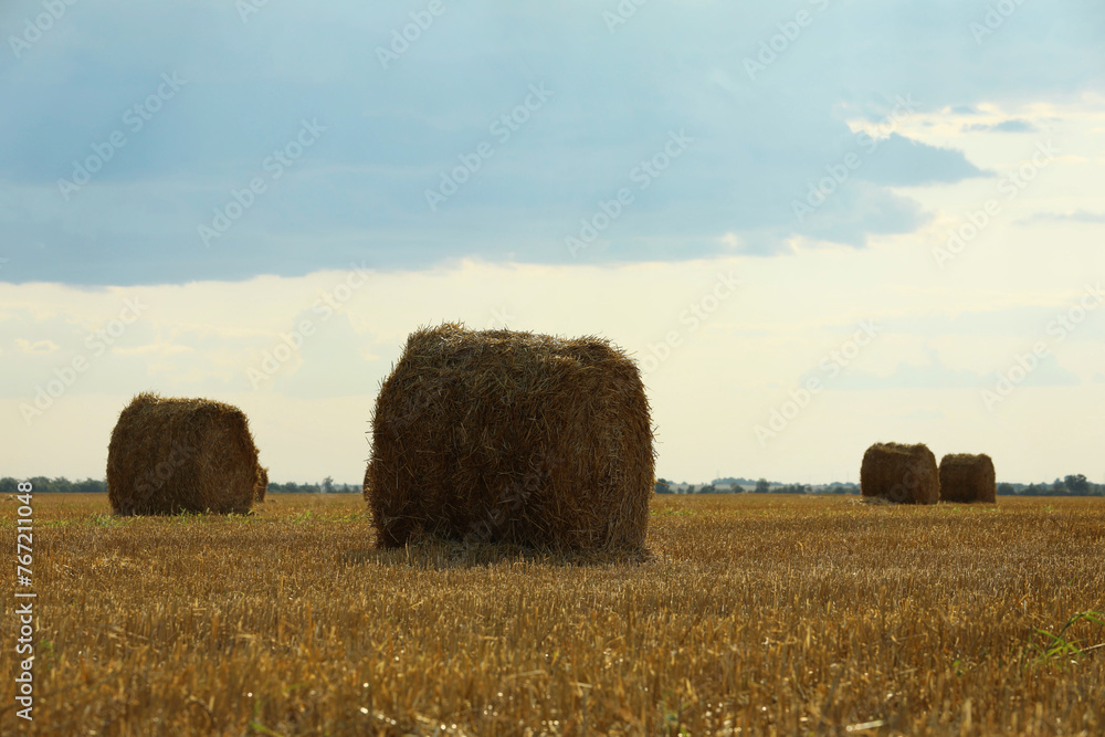 Beautiful view of agricultural field with hay bales Beautiful view of agricultural field with hay bales