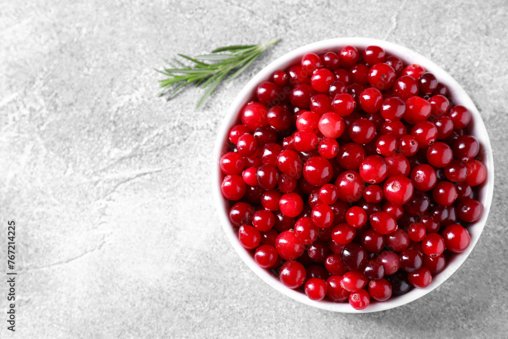Fresh ripe cranberries in bowl on grey table, top view. Space for text Fresh ripe cranberries in bowl on grey table, top view. Space for text