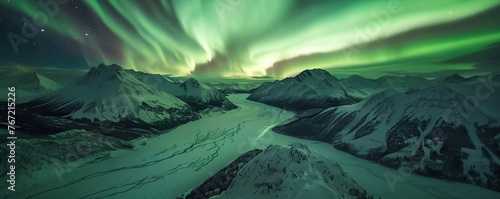 the expansive beauty of northern landscapes in wide aerial shots capturing wildlife against the aurora-filled sky in Alaska