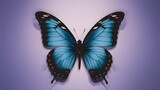 Studio lighting illuminates blue colorful butterfly on white background