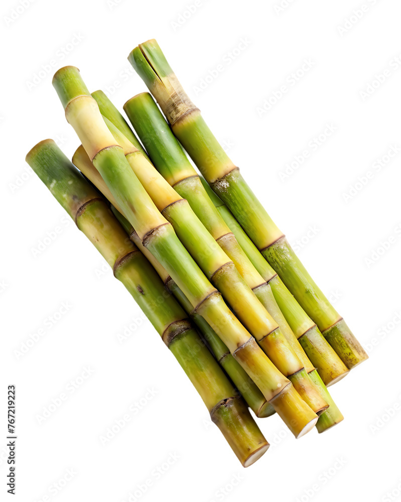 Fototapeta premium sugar cane stalk transparent background