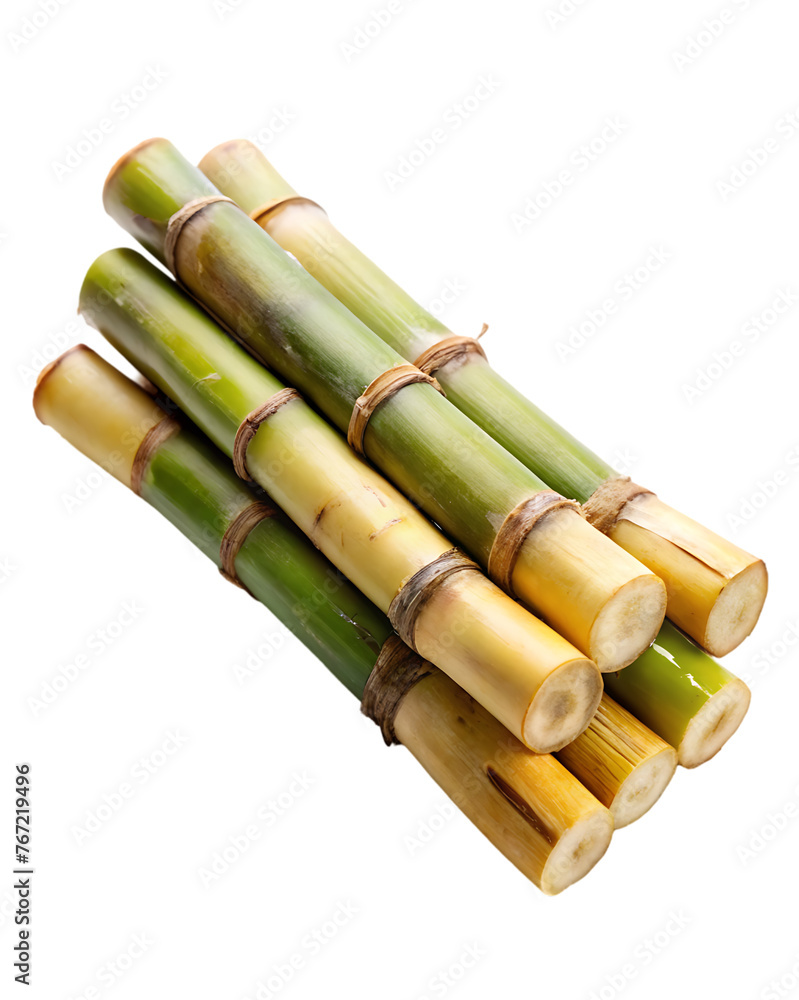 sugar cane stalk transparent background sugar cane stalk transparent background