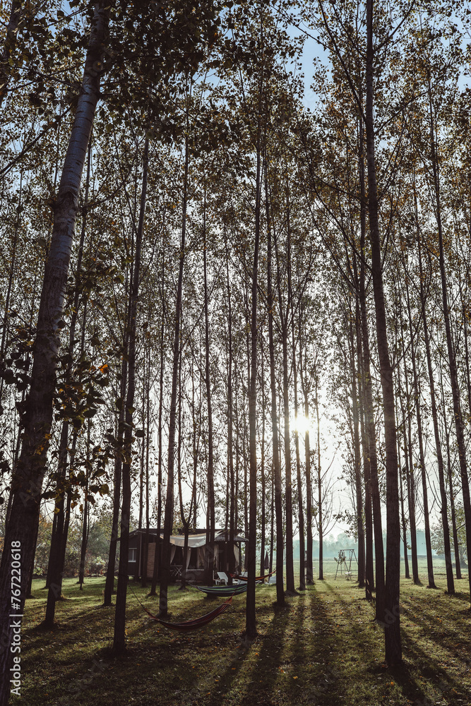 Naklejka premium glamping