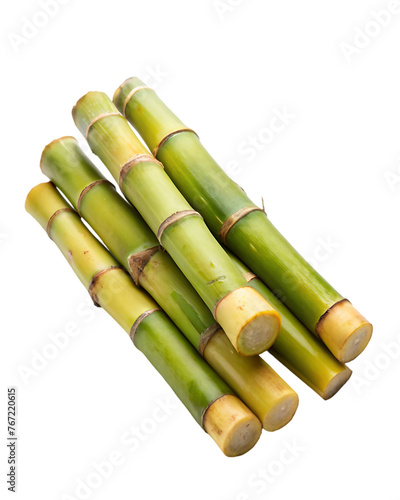 sugar cane stalk transparent background