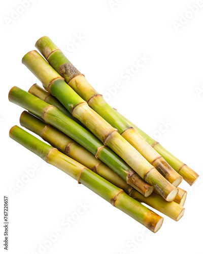 sugar cane stalk transparent background