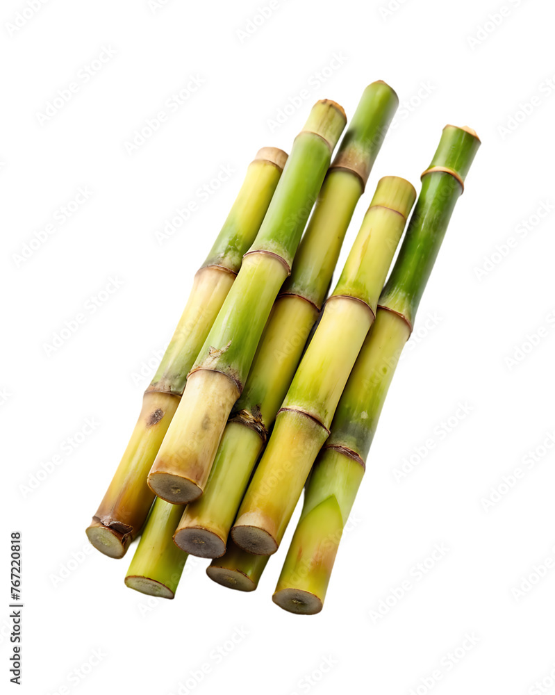 Fototapeta premium sugar cane stalk transparent background